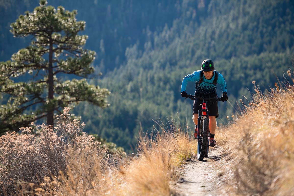 Salsa Timberjack Review 2025
